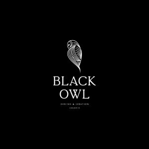 black owl 2